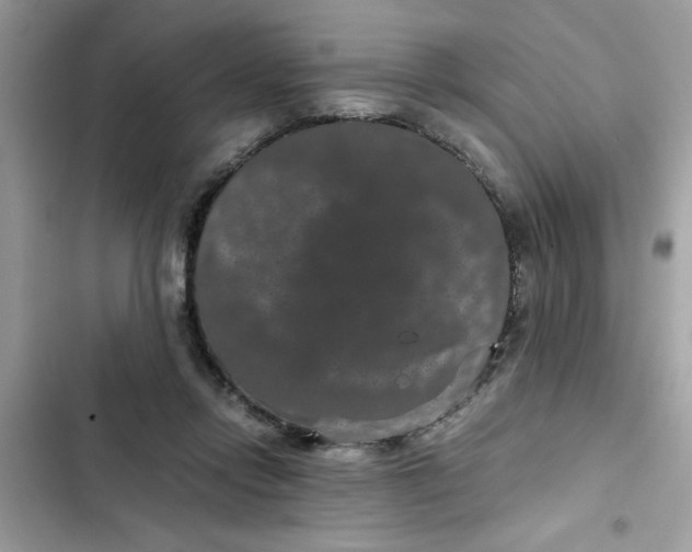 X0000102340358200808151733