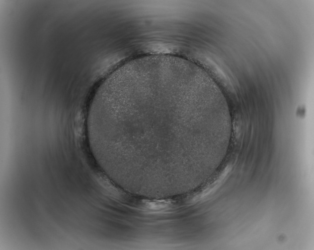 X0000102340359200808151733