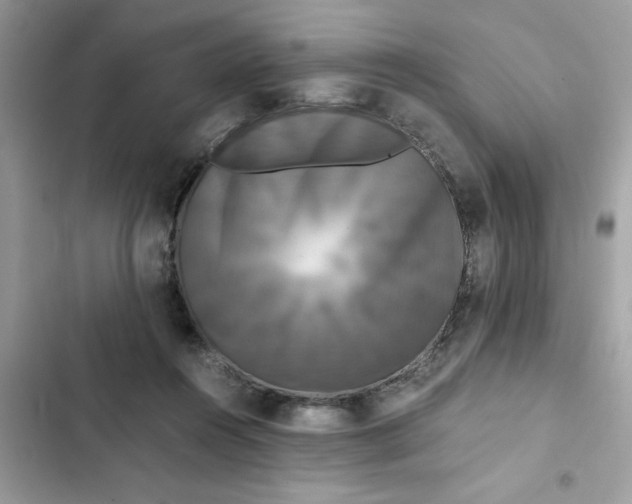 X0000102340360200808151733