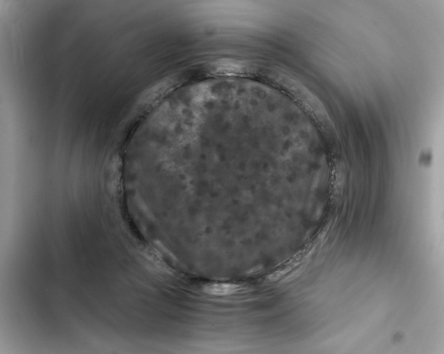 X0000102340361200808151733