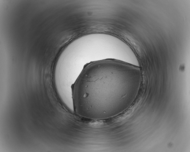 X0000102340362200808151733