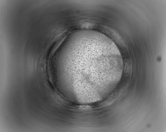 X0000102340363200808151733