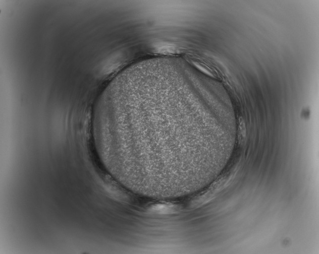 X0000102340364200808151733