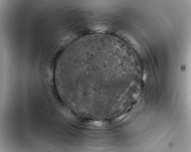 X0000102340365200808151733