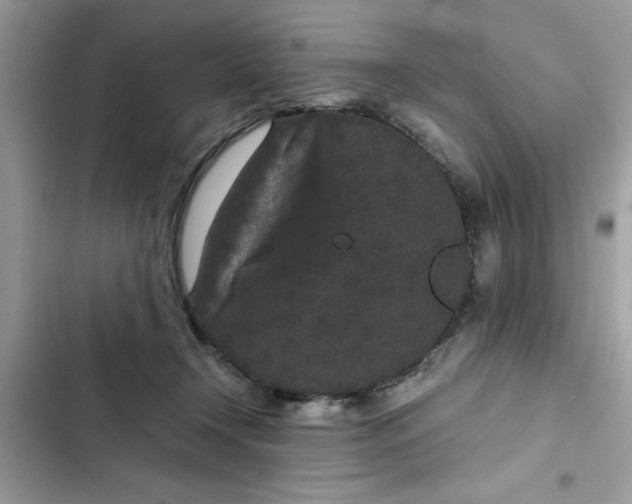 X0000102340366200808151733