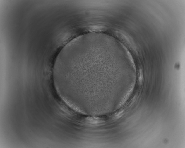 X0000102340367200808151733