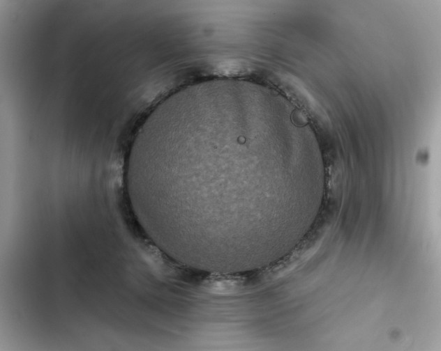 X0000102340368200808151733