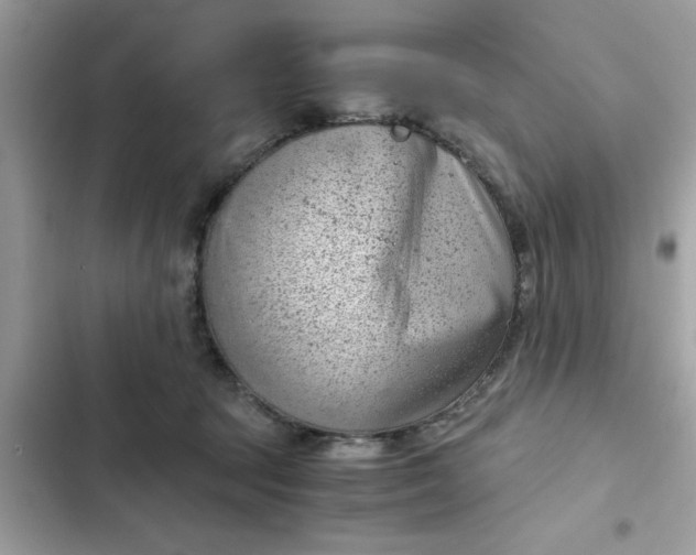 X0000102340369200808151733