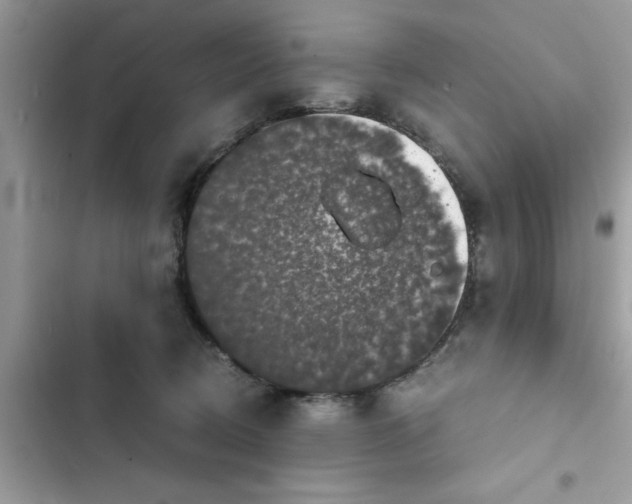 X0000102340370200808151733