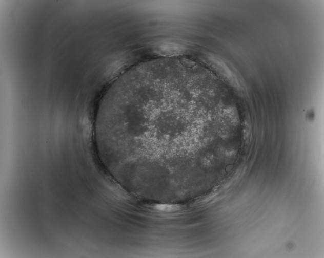 X0000102340371200808151733