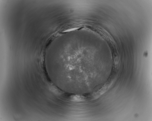 X0000102340372200808151733