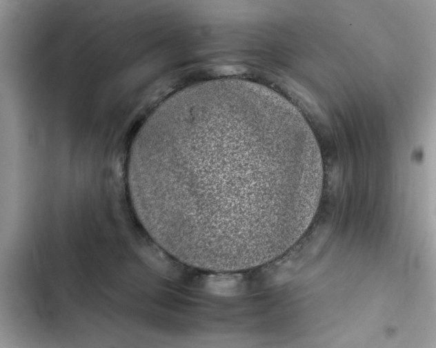 X0000102340373200808151733