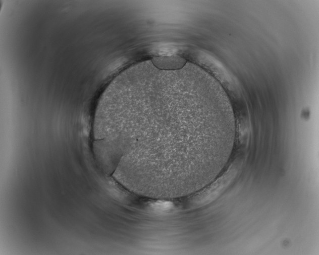 X0000102340374200808151733