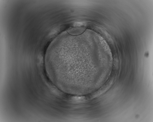 X0000102340375200808151733