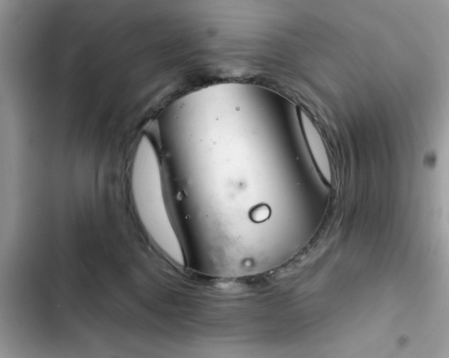 X0000102340376200808151733