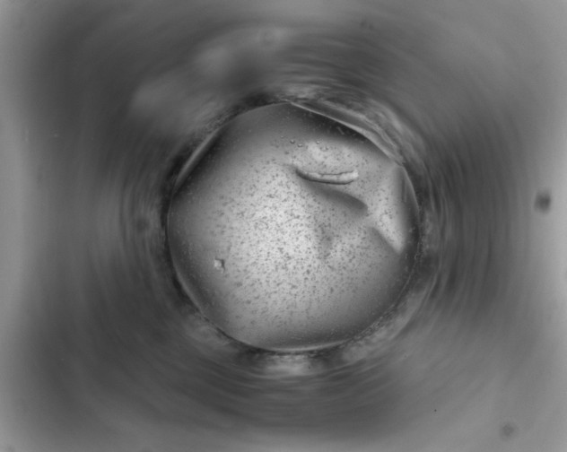 X0000102340377200808151733