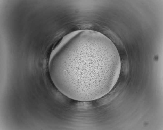 X0000102340378200808151733