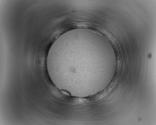 X0000102340379200808151733