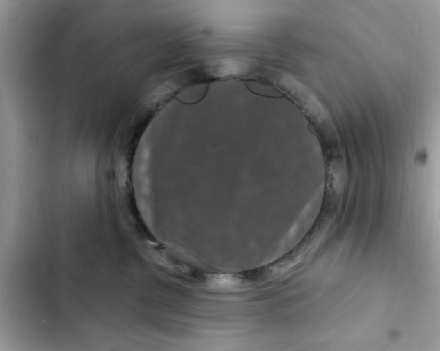 X0000102340380200808151733