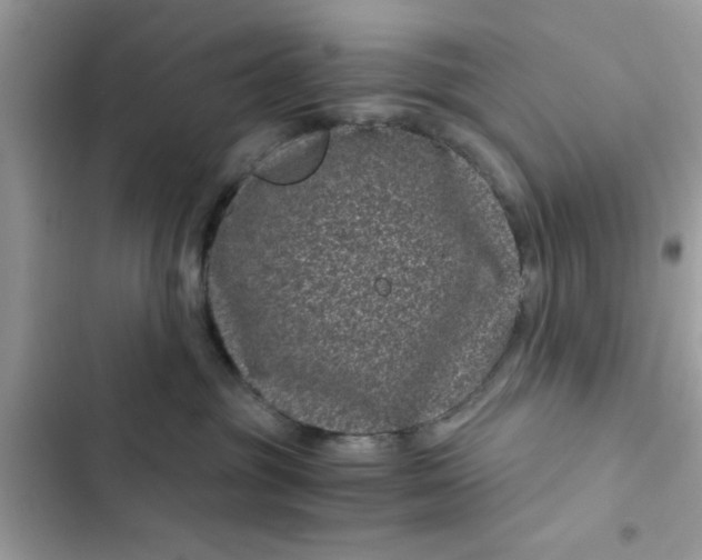 X0000102340381200808151733