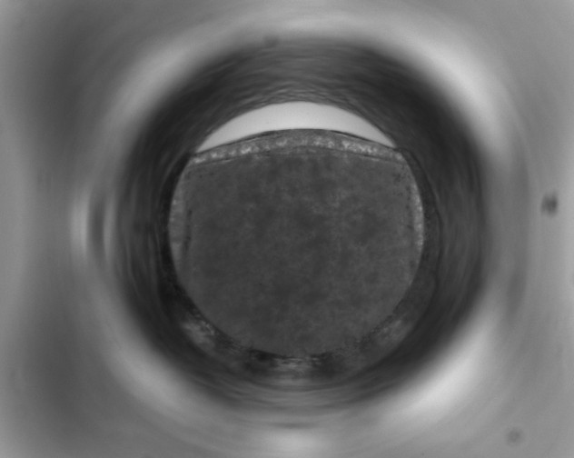 X0000102340382200808151733