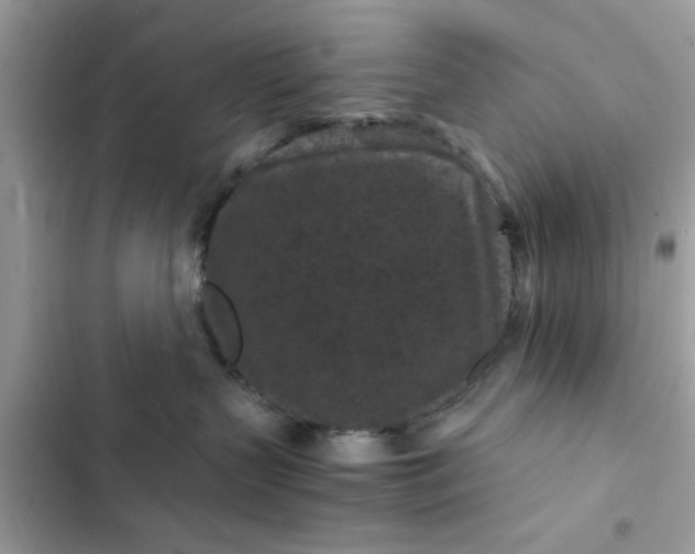 X0000102340383200808151733