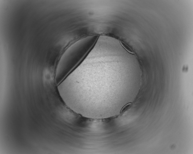 X0000102340384200808151733