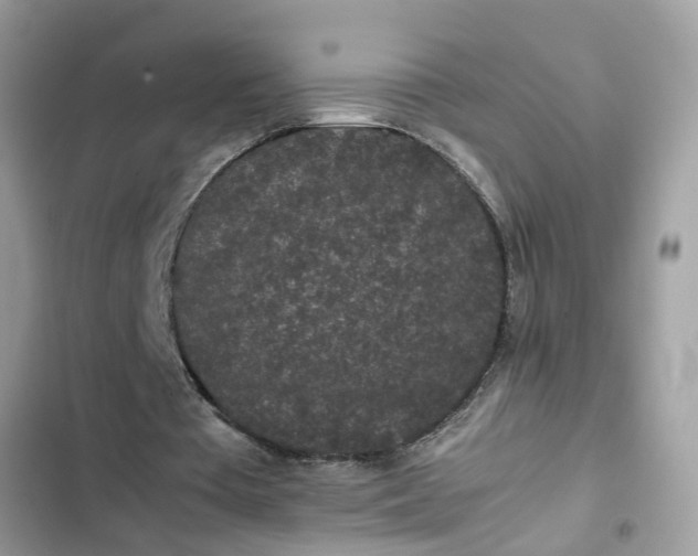 X0000102340385200808151733