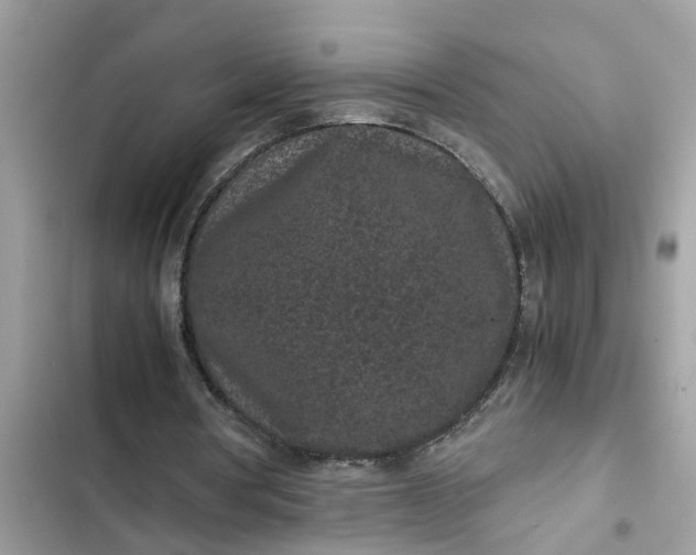 X0000102340386200808151733