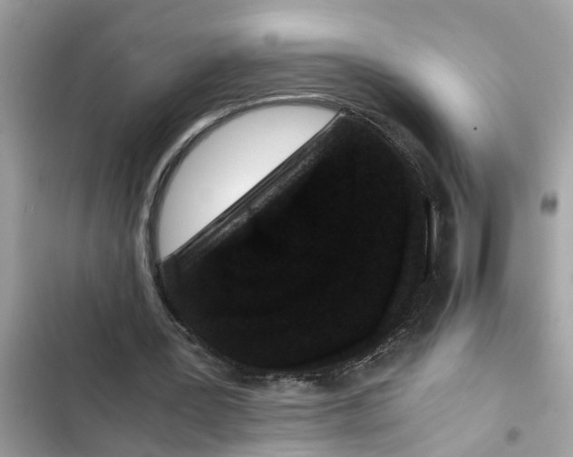 X0000102340387200808151733