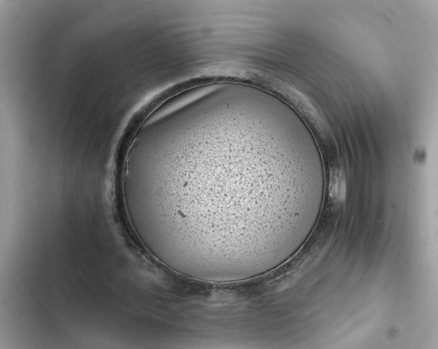 X0000102340388200808151733