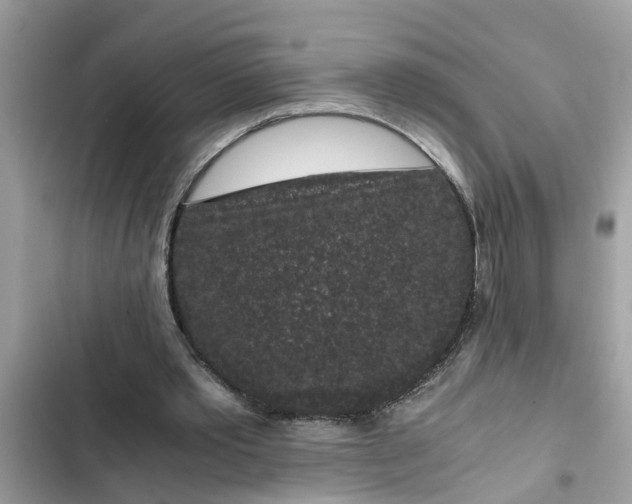 X0000102340389200808151733