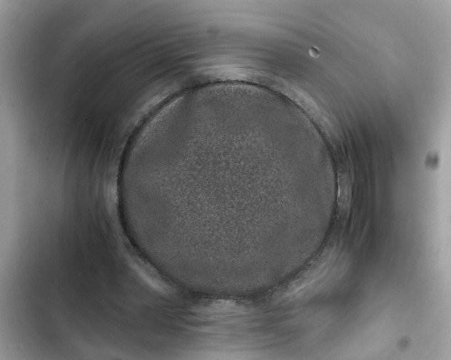 X0000102340390200808151732