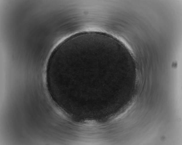 X0000102340391200808151732