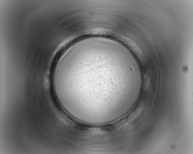 X0000102340392200808151732