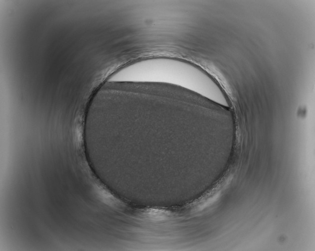 X0000102340393200808151732