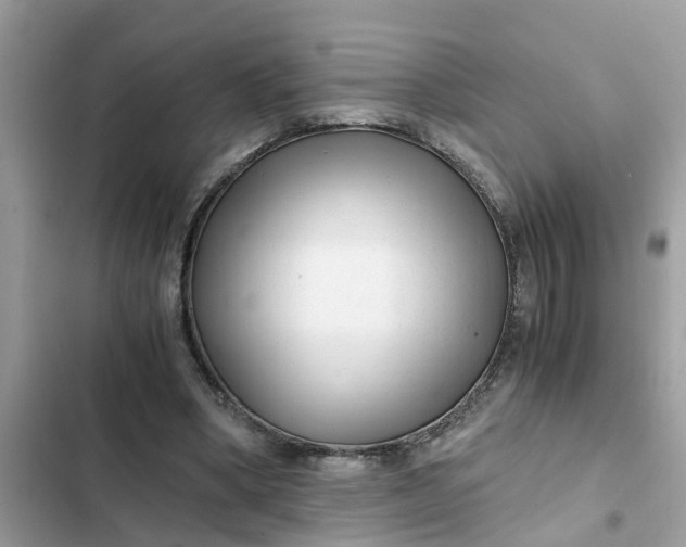 X0000102340394200808151732