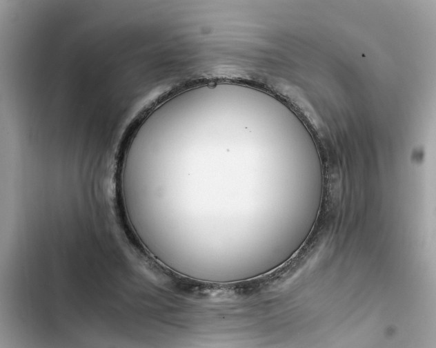 X0000102340395200808151732