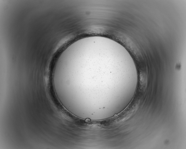 X0000102340396200808151732