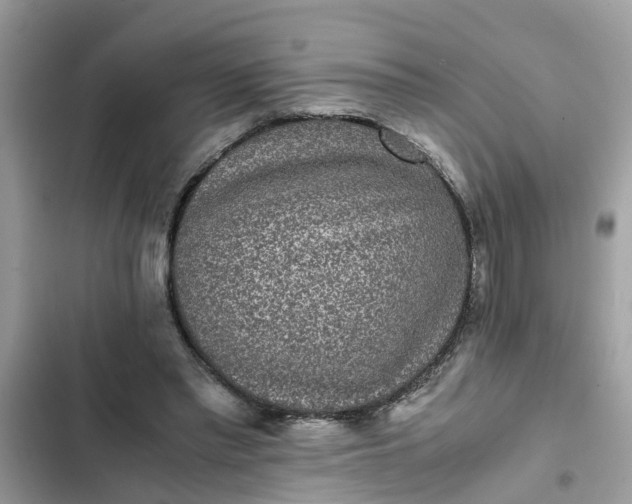 X0000102340397200808151732