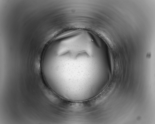 X0000102340398200808151732