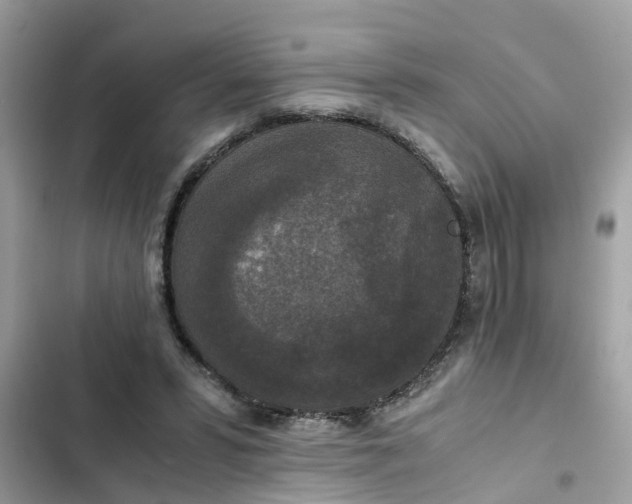 X0000102340399200808151732