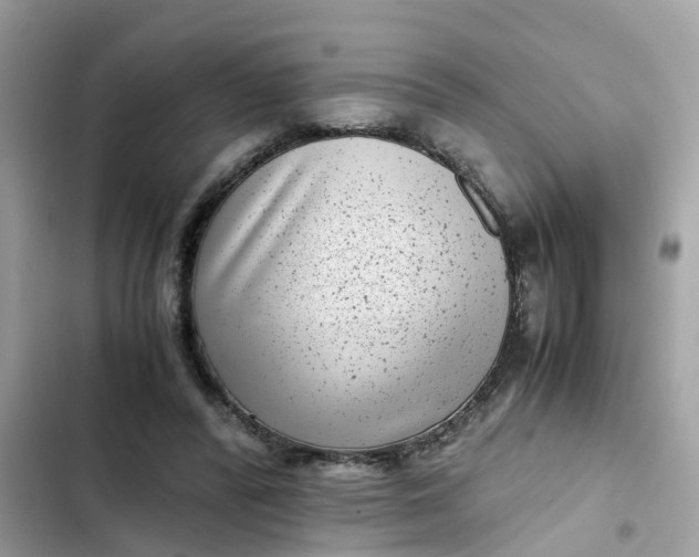 X0000102340400200808151732