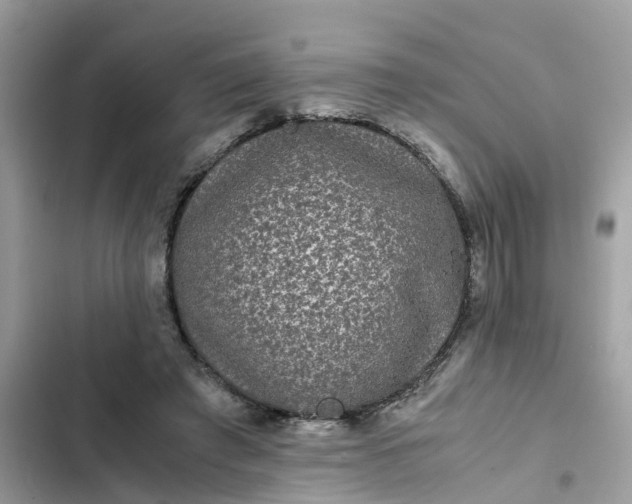 X0000102340401200808151732