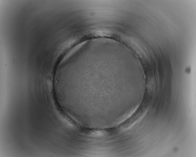 X0000102340402200808151732