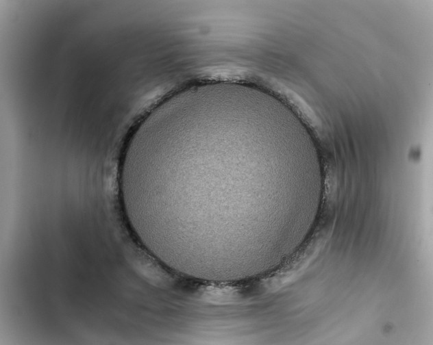 X0000102340403200808151732