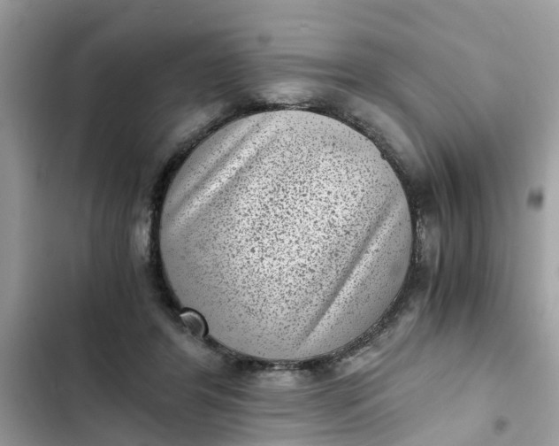 X0000102340404200808151732