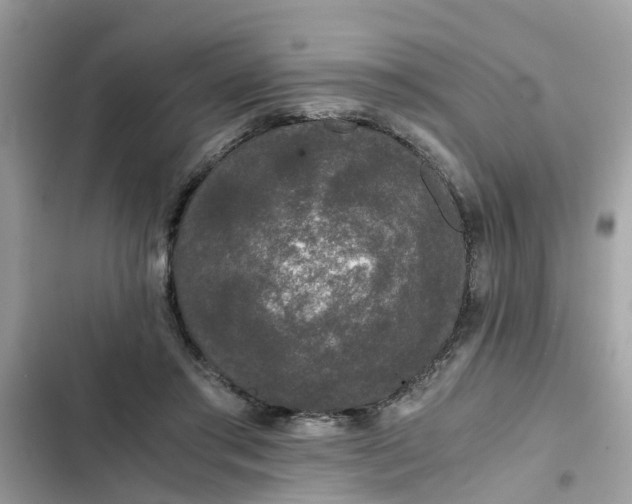 X0000102340405200808151732