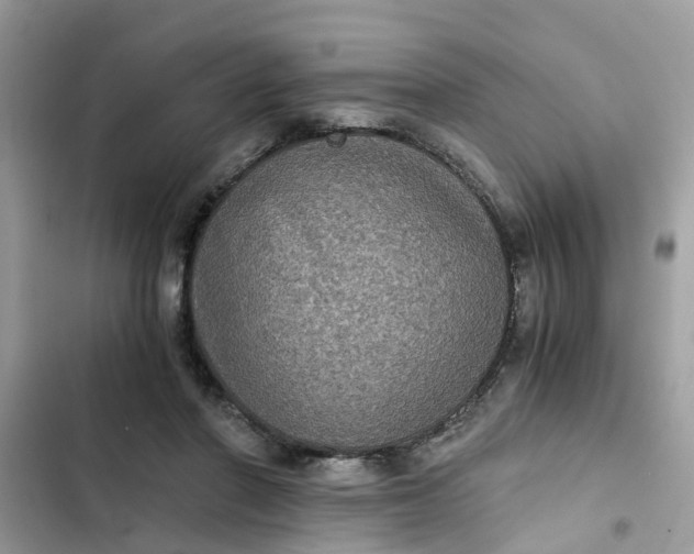 X0000102340406200808151732