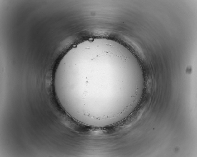 X0000102340407200808151732